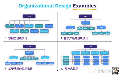 一文读懂组织设计｜完整指南 - 知乎