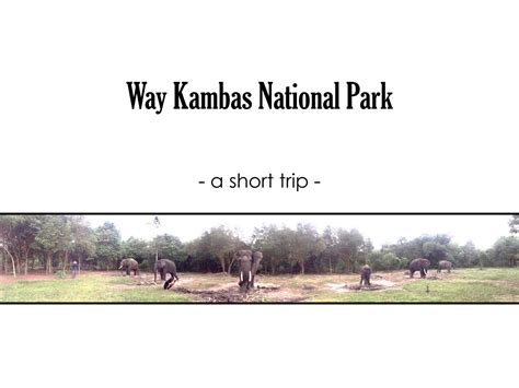 Way Kambas National Park - A Short Trip by rizkyanti - Issuu