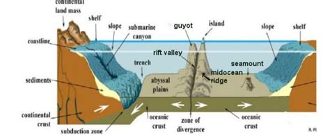 Relief Of The Ocean Floor In Diagram | Review Home Co