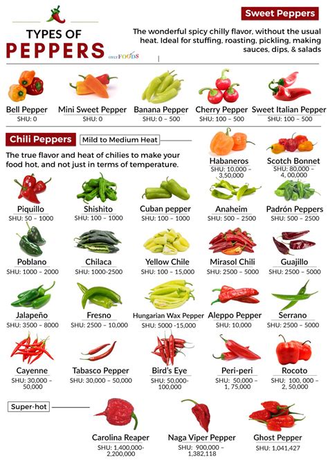 30 Different Types of Peppers From Sweet to Mild, and Truly Hot - Only ...