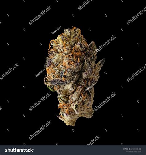 2 Dosi Punch Marijuana Images, Stock Photos & Vectors | Shutterstock