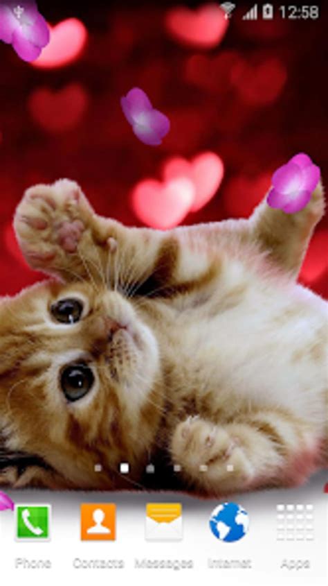 Animals Cute Live Wallpaper for Android - Download