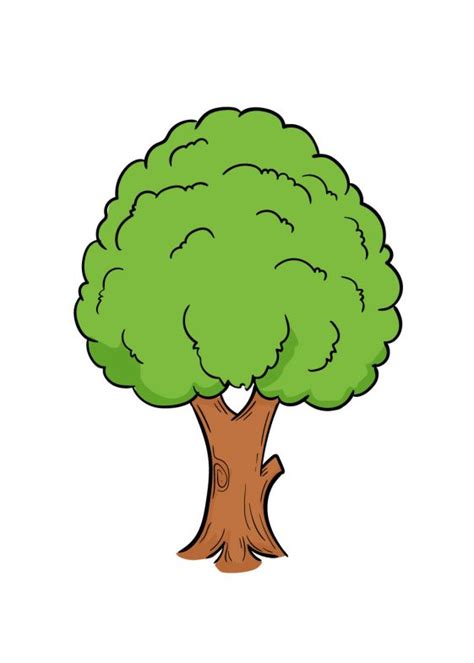 Tree Drawing - How To Draw A Tree Step By Step!