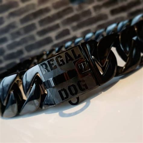 Regal Gloss Black Chain Dog Collar