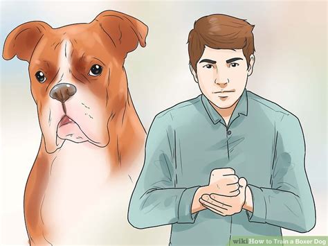 3 Ways to Train a Boxer Dog - wikiHow