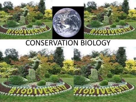 PPT - CONSERVATION BIOLOGY PowerPoint Presentation, free download - ID ...