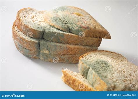 Fungus On Bread Stock Photo - Image: 9754520