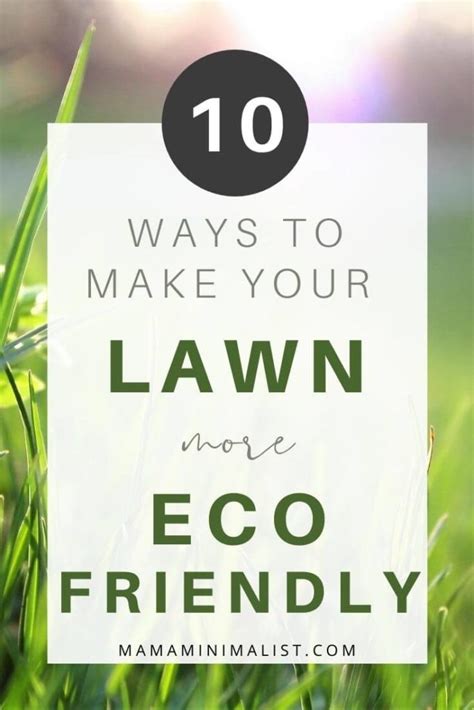 10 Sustainable Lawn Care Tips - Sustainable Minimalists