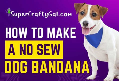 How to Make a No Sew Dog Bandana - PatchPuppy.com