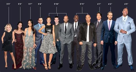 The True Height of Fast and Furious Actors, in One Helpful Graphic ...