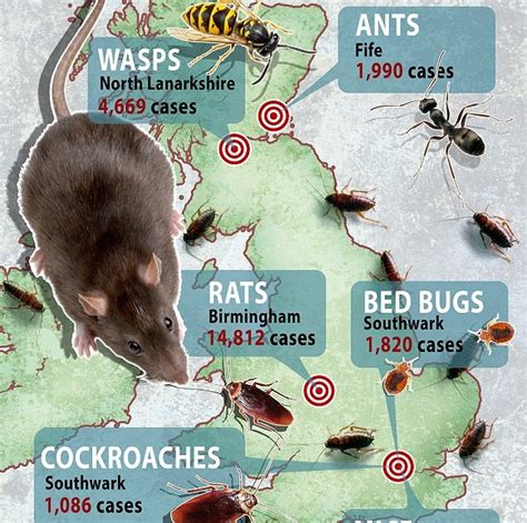 These are the UK's most vermin infested areas | Metro News