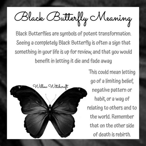 Black Butterfly Meaning | Butterfly meaning, Animal spirit guides ...