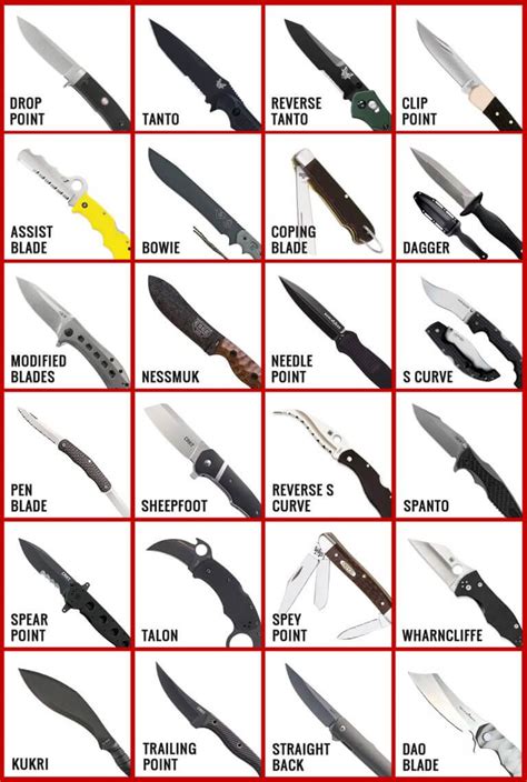 26 Knife Blade Types in 2024 (with Chart & Shape Explanations)