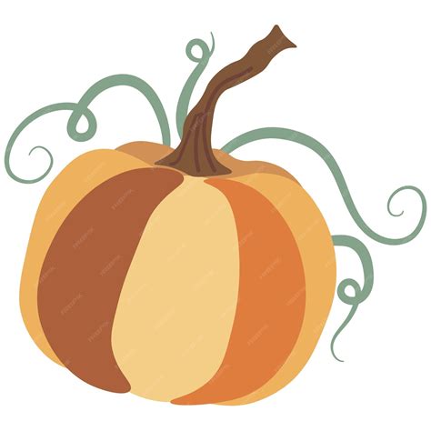 Premium Vector | Autumn pumpkin isolated vector illustration on white ...