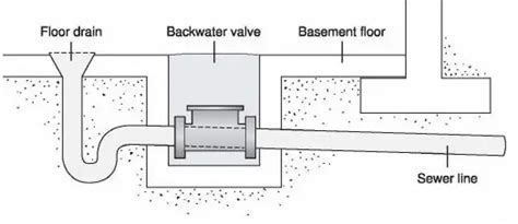 Where Do Basement Floor Drains Go? Plumbing Insights