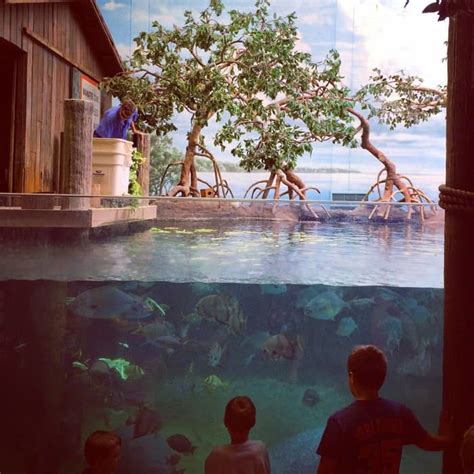 9 Things We Loved About The Columbus Zoo and Aquarium - Adventure Mom