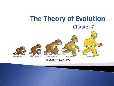 PPT - The Theory of Evolution PowerPoint Presentation, free download ...