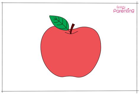 How to Draw An Apple for Kids - A Step By Step Guide With Pictures