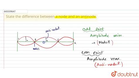 [Assamese] State the difference between a node and an antinode.