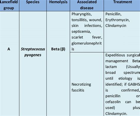 Streptococcus Pyogenes Infection