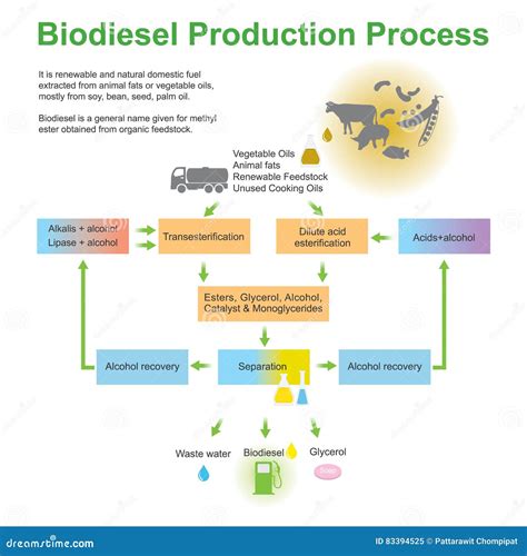 To Vegetable Oil Biofuel Process