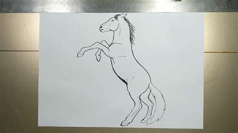 Rearing Horse Outline