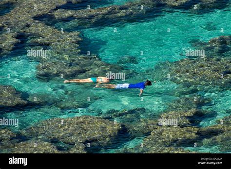 People snorkelling among coral reef at Hanauma Bay Nature Preserve ...