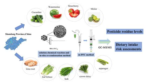 Molecules | Free Full-Text | Residue Levels and Dietary Intake Risk ...