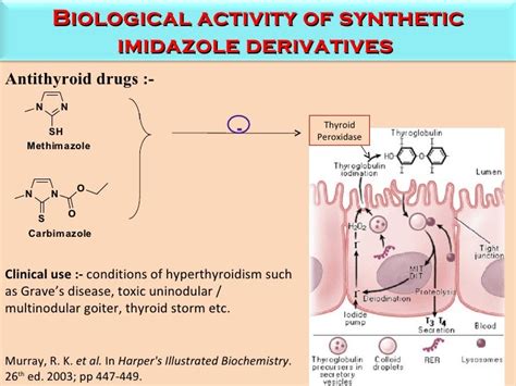 Imidazole Derivatives Biological Activity And Synthetic Approaches