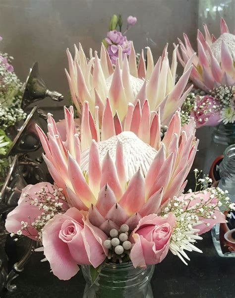 Vintage Protea Bouquet | Wedding table flowers, Hotel flowers, Flower ...