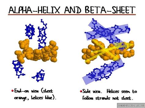 Alpha Helix Beta Sheet