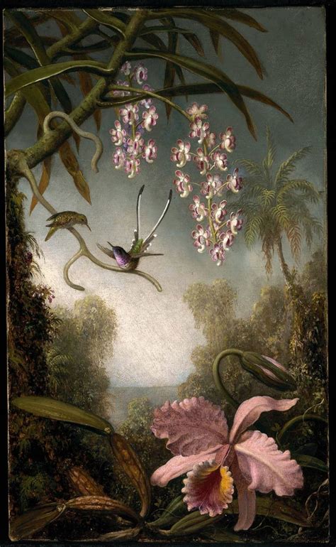 Orchids and Spray Orchids with Hummingbird - Martin Johnson Heade ...