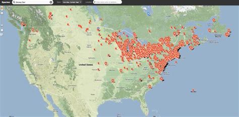 Tracking the Snowy Owl Migration in Real Time - The New York Times