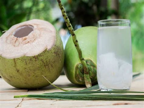 Coconut Water - Introduction, Dosage & Benefits - Santripty