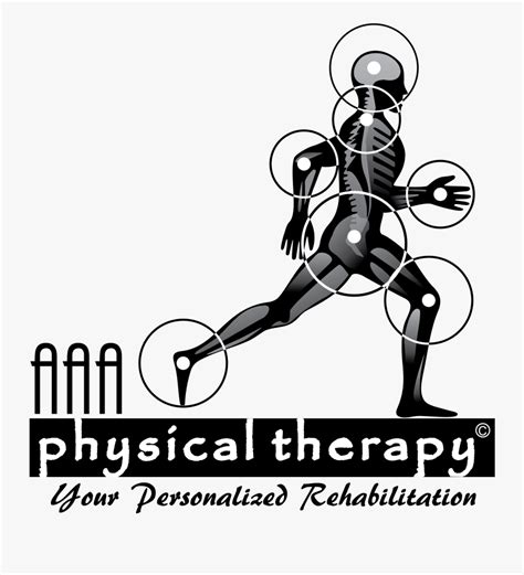 All About Physical Therapy Assistant Program At Hcc - Aaa Physical ...