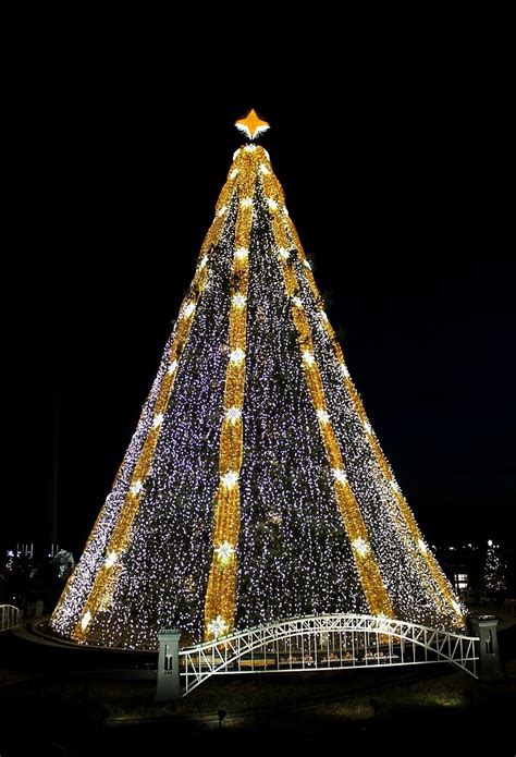 "National Christmas Tree, Washington DC" by Kelly Morris | Redbubble