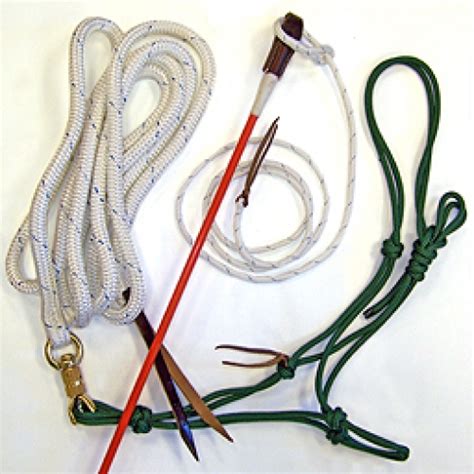 Natural Horsemanship Kit - Horse Parelli Style Training Equipment / Kit ...