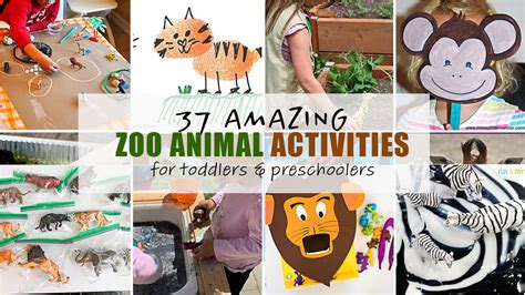 37 Amazing Zoo Animal Activities - Happy Toddler Playtime