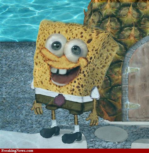 Image - The-Real-Spongebob--49993.jpg | Encyclopedia SpongeBobia ...