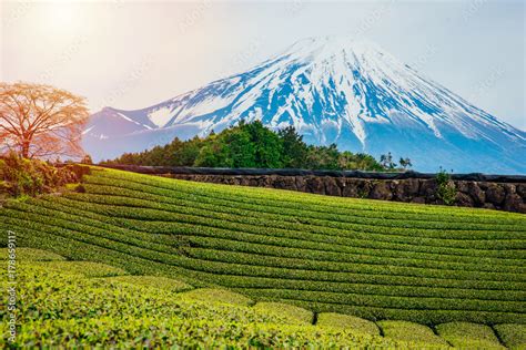 mt.Fuji in kawaguchiko lake,Kawaguchiko lake of Japan,Mount Fuji ...