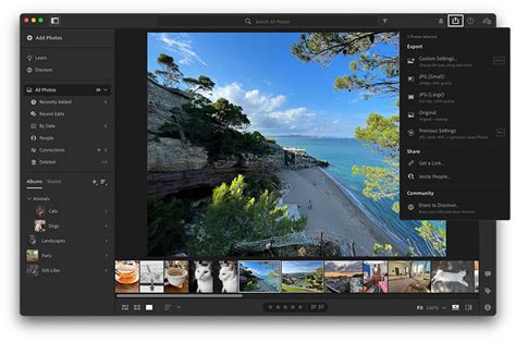 How to Use Lightroom CC: Quick Guide for Beginners | Envato Tuts+