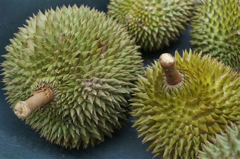 Durian 101: everything you need to know about Southeast Asia's ‘King of ...