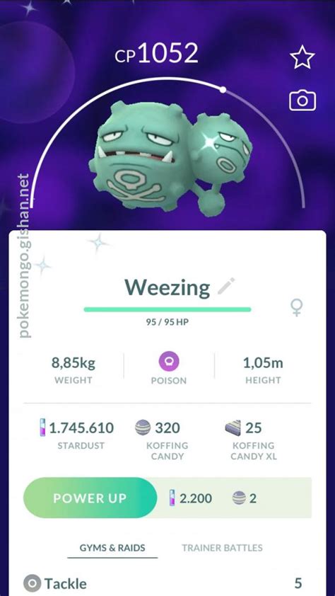 Shiny Weezing - Pokemon Go