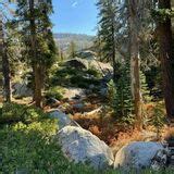 Emigrant Wilderness Loop Trail - California | AllTrails