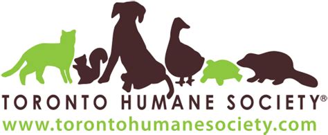 Blue North Case Study - Toronto Humane Society