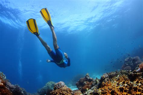 Bohol Panglao Island Hopping Half-Day Private Tour with S...