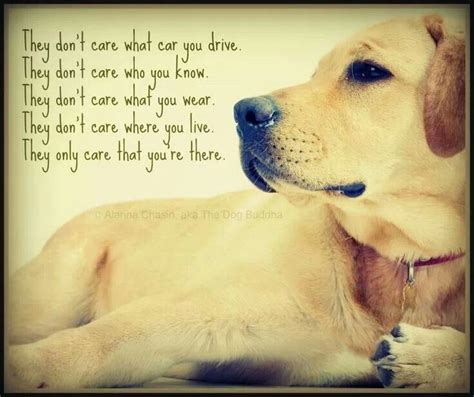 Dog Love And Loyalty Quotes. QuotesGram