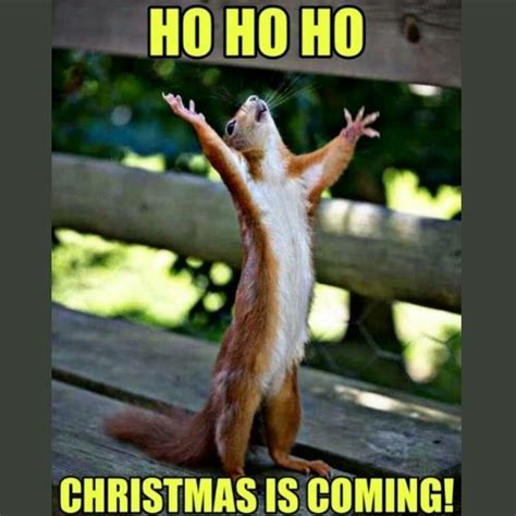 20+ Funny Ho Ho Ho Memes 2023 to Amp Up Christmas Vibes