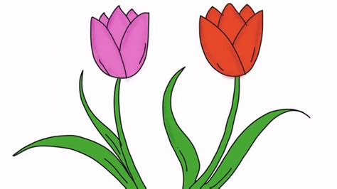 Cách vẽ hoa tulip ấn tượng nhất, mẫu tranh hoa tulip đẹp dễ vẽ