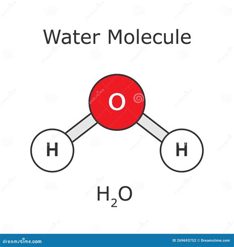 Water Molecule. H2O. Water Molecule Structure. Atomic Scheme Stock ...